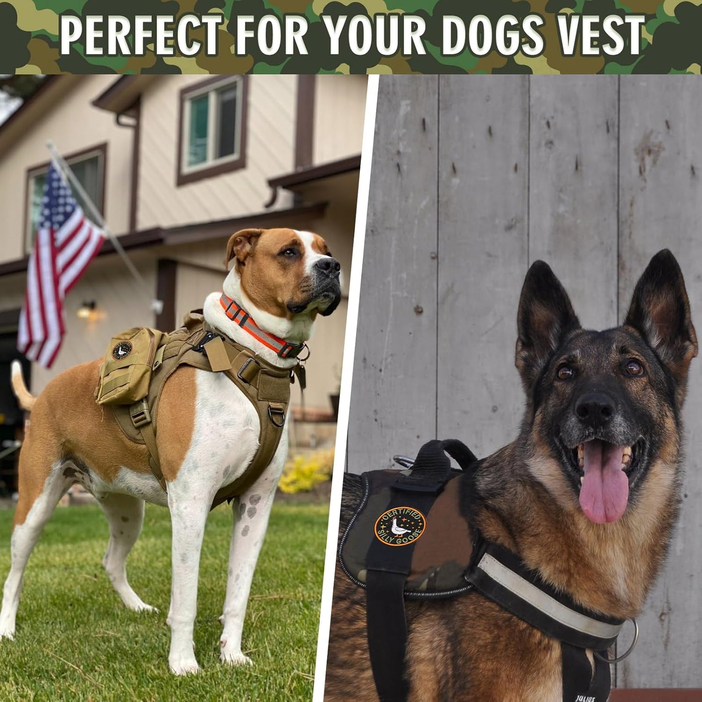 Certified Silly Goose Patch