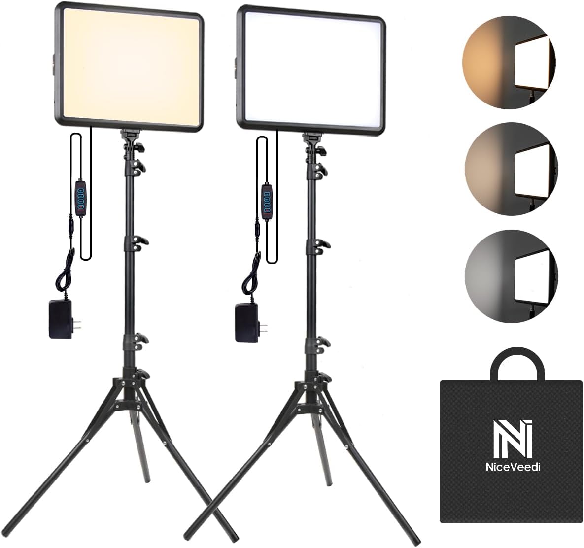 Camp Lights